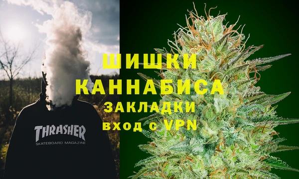 сатива Алзамай