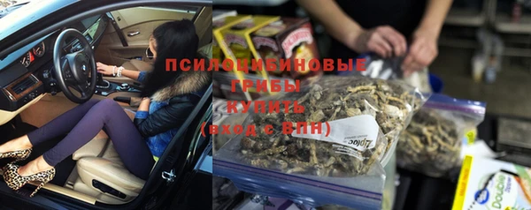индика Осинники