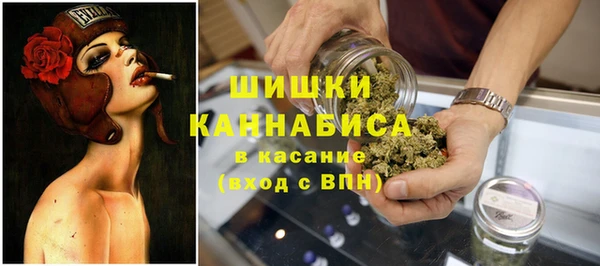 сатива Алзамай