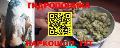 сатива Пенза