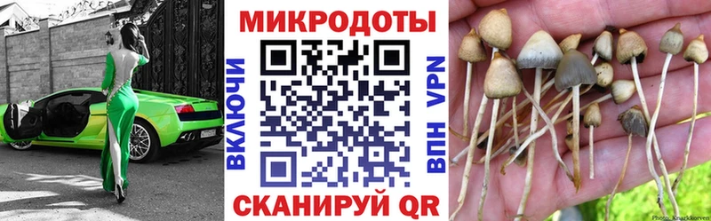 ссылка на мегу как войти  Урай  Псилоцибиновые грибы MAGIC MUSHROOMS 