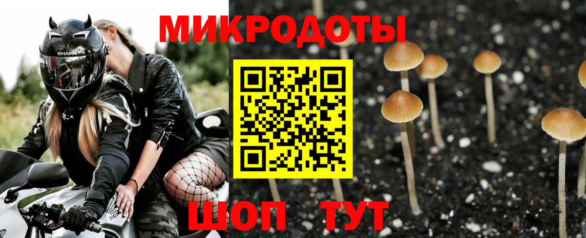 Псилоцибиновые грибы Cubensis  Вход с VPN  Урай 